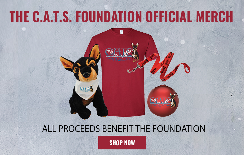 ten country stars making a difference